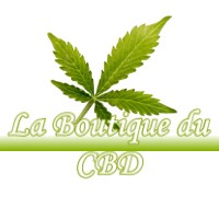 LA BOUTIQUE DU CBD LABARTHE-BLEYS 